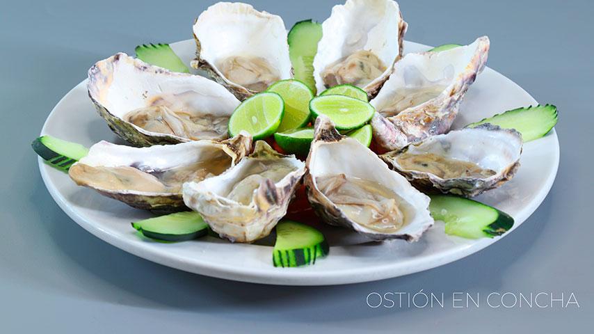 Ostión en Concha (pieza)